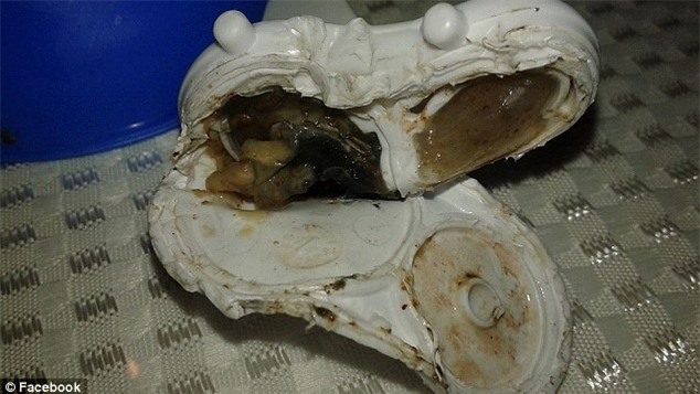 kiểm tra bình sữa, bình sữa bẩn