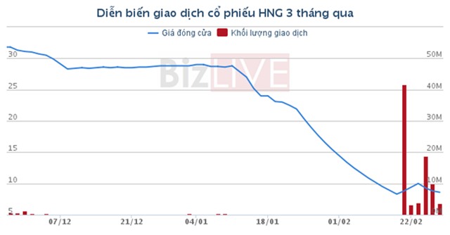 Thời kỳ long đong của 'con gà đẻ trứng vàng' HAGL Agrico