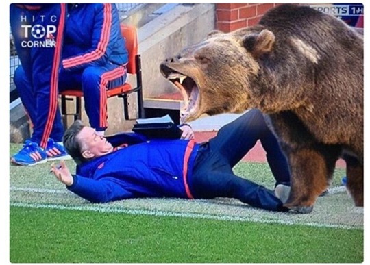 HLV Van Gaal cũng muốn đóng phim Người về từ cõi chết như Leonardo Di Caprio đây