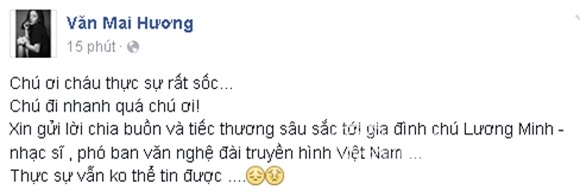 Sao Việt khóc thương nhạc sĩ Lương Minh 4