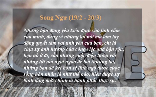 du doan tinh yeu thang 3 cua cac cung hoang dao - 12