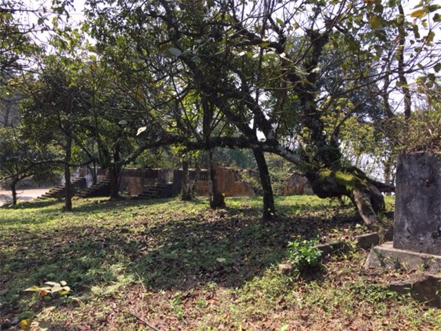 Vườn quốc gia Ba Vì, Dự án Resort & Spa Le Mont, Công ty TNHH Phát triển Công nghệ (CFTD), Bộ NN&PTNT