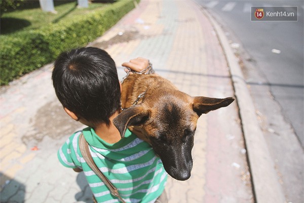 Cậu bé bán vé số và chú chó què: Milu là em út của em, em thương nó lắm! - Ảnh 2.