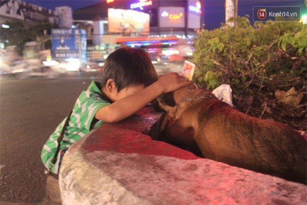 Cậu bé bán vé số và chú chó què: Milu là em út của em, em thương nó lắm! - Ảnh 9.