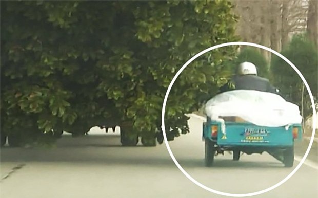 video: kinh hoang xe tai cho cay lao vun vut, hat xe ba banh xuong song hinh anh 1