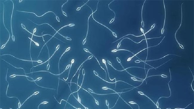 xin qua giang bi 3 phu nu cuong hiep, cuop tinh trung hinh anh 1