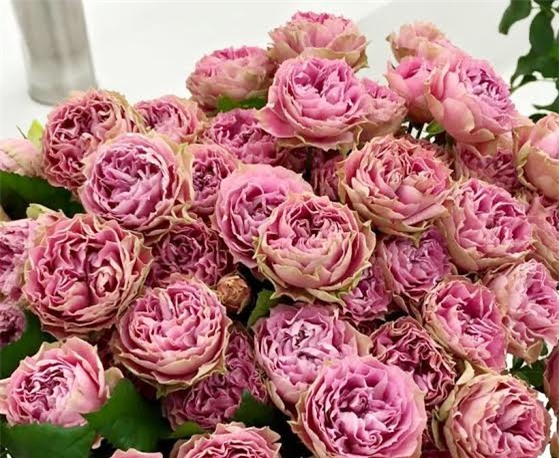 8/3, tặng hoa, hoa nhập khẩu, hoa tươi, hoa Nhật Bản, bạn gái, hoa cao cấp