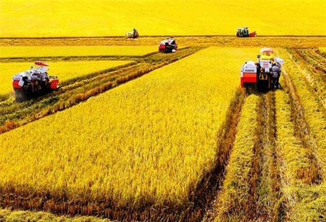 nông nghiệp, đầu tư nông nghiệp, nông nghiệp công nghệ cao, nông nghiệp Việt Nam, thực phẩm bẩn, thực phẩm an toàn, đại gia, TPP