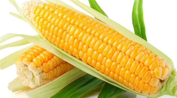 đốt cháy mỡ thừa