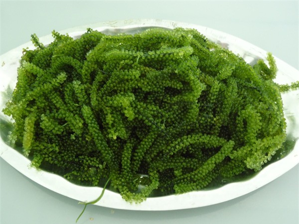 đốt cháy mỡ thừa