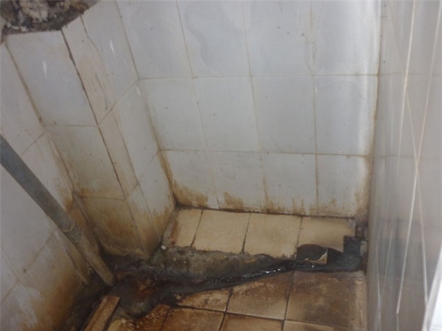 Cám cảnh xếp hàng chờ vệ sinh giữa Hà Nội - 4