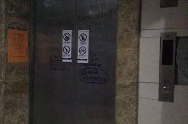 tq: ket trong thang may ca thang, chet khong ai biet hinh anh 1