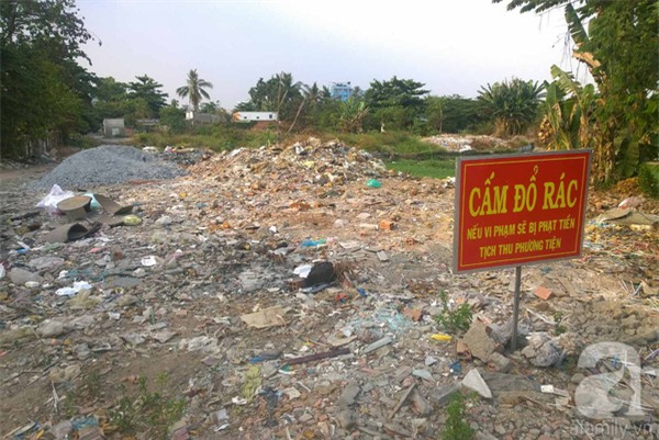 công viên, trăm tỷ, trung tâm, sài gòn, trồng rau, nuôi gà, bỏ hoang, câu cá, trồng chuối