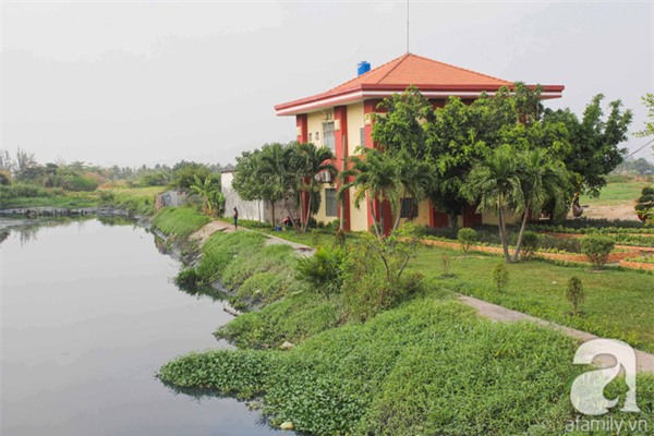 công viên, trăm tỷ, trung tâm, sài gòn, trồng rau, nuôi gà, bỏ hoang, câu cá, trồng chuối