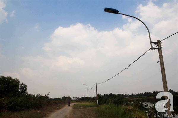 công viên, trăm tỷ, trung tâm, sài gòn, trồng rau, nuôi gà, bỏ hoang, câu cá, trồng chuối