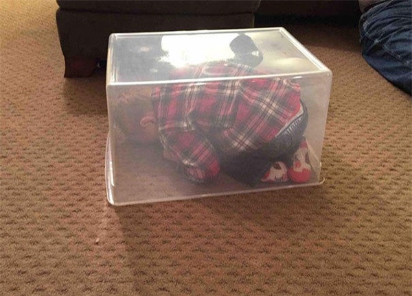 Chùm ảnh: Những pha trốn tìm bá đạo trên từng hạt gạo của lũ trẻ ngây thơ - Ảnh 5.