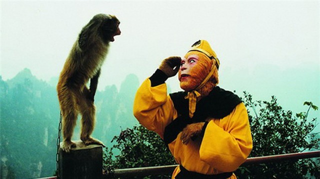 22003339-20101217083059_469837