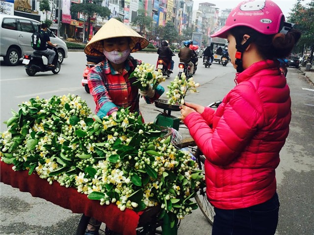 hoa bưởi, quà tặng, quốc tế phụ nữ, 8/3, quà tặng vợ, bỏ cả triệu đồng, hoa tươi