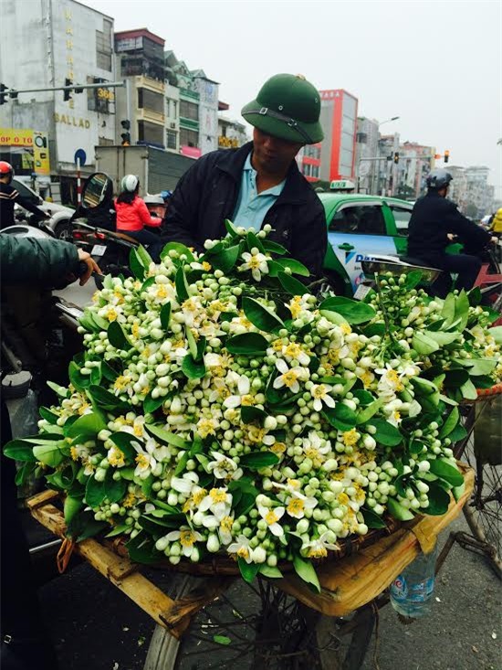 hoa bưởi, quà tặng, quốc tế phụ nữ, 8/3, quà tặng vợ, bỏ cả triệu đồng, hoa tươi