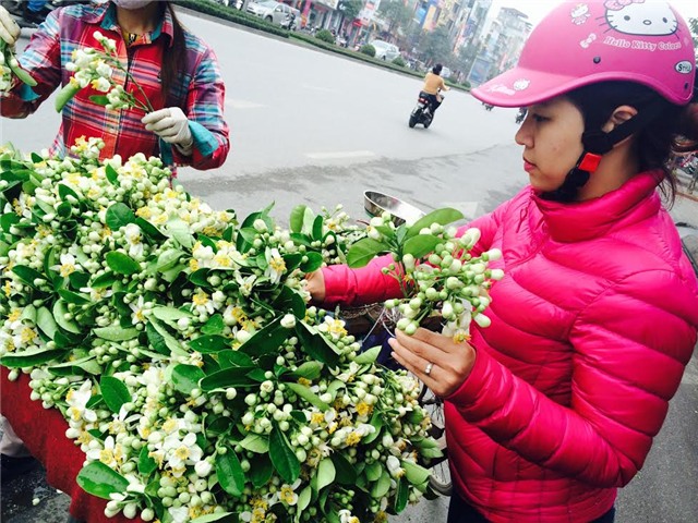 hoa bưởi, quà tặng, quốc tế phụ nữ, 8/3, quà tặng vợ, bỏ cả triệu đồng, hoa tươi