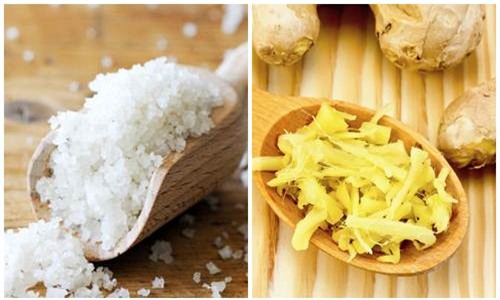 eo-con-kien-blogtamsuvn3