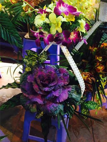 Hoa bắp cải, hút khách, nửa triệu đồng, cháy hàng, bông hoa, hồng sa mạc, 8/3, quốc tế phụ nữ