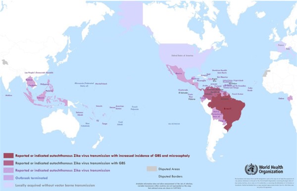 Virus Zika lây lan đến 3 nước láng giềng của Việt Nam - Ảnh 2.