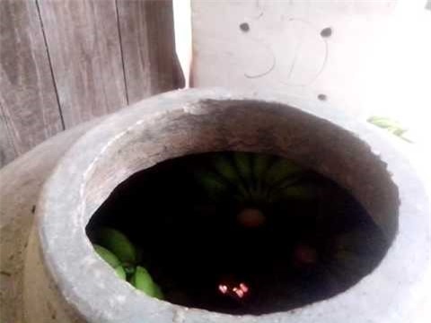 Ăn chuối dấm chín bằng hương có độc?