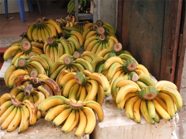 Ăn chuối dấm chín bằng hương có độc?