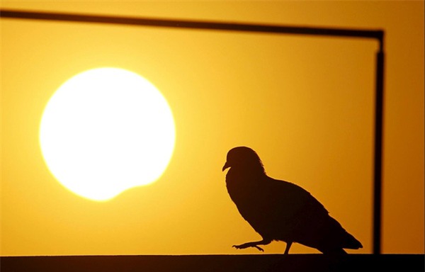 Chùm ảnh: Toàn cảnh nhật thực sáng nay tại Việt Nam và các nước Châu Á - Ảnh 22.