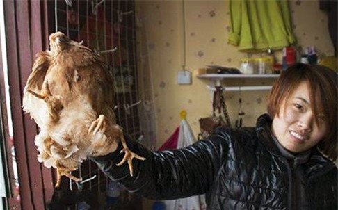 ga chay bang 4 chan gay 