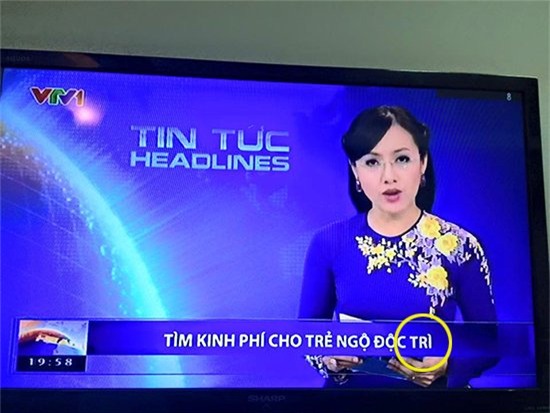 chuyen gia ngon ngu: nang luc bien tap vien vtv co van de hinh anh 1
