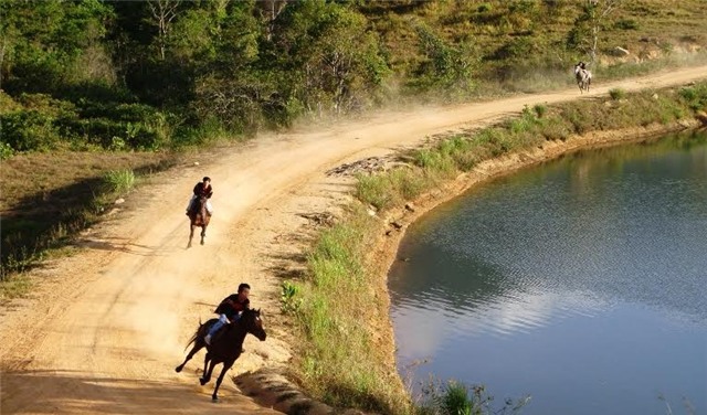 Trung Nguyên, tối hậu thư, dự án của Trung Nguyên, tập đoàn trung nguyên, Đặng Lê Nguyên Vũ, UBND tỉnh Đắk Lắk