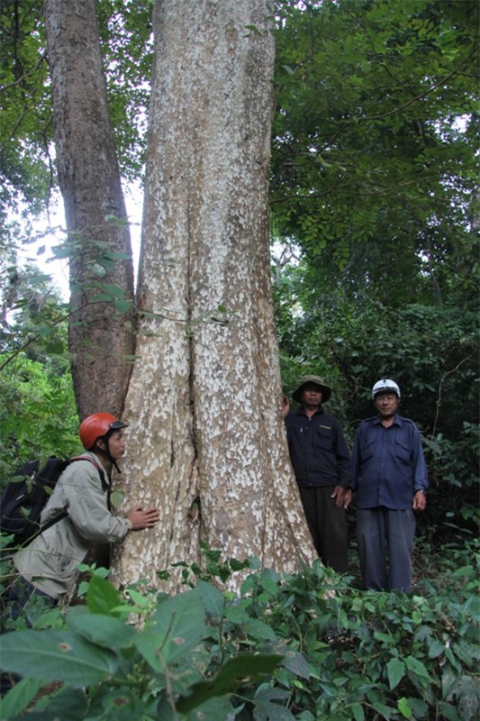 Trung Nguyên, tối hậu thư, dự án của Trung Nguyên, tập đoàn trung nguyên, Đặng Lê Nguyên Vũ, UBND tỉnh Đắk Lắk