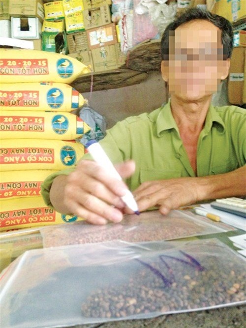 Hạt giống rau mầm, Sở NN-PTNT TPHCM, rau an toàn, hàng trung quốc, hóa chất gây ung thư, rau mầm