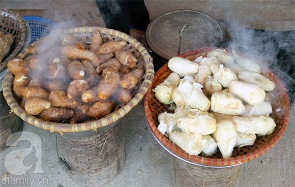củ mài