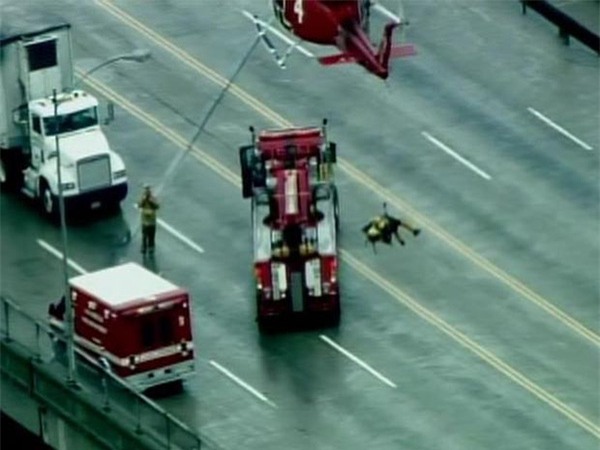 Chú chó bị rơi xuống sông, và cách mà người Mỹ đối xử với nó khiến cả thế giới nể phục - Ảnh 5.