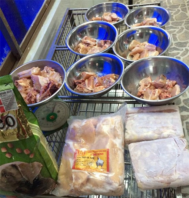 chó cảnh, chó lai, siêu khuyển