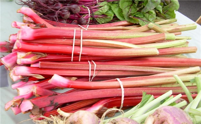 thực phẩm, nhà bếp, thực phẩm gây hại