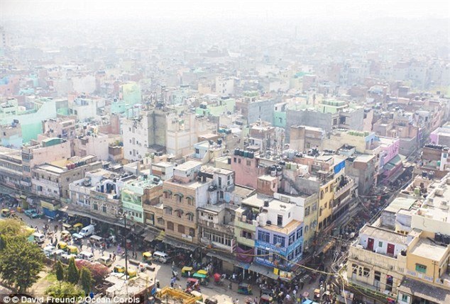 án dọ: bị mẹ bóp cỏ chét vi ngu voi nguoi o hinh anh 1