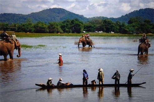 Những điểm cưỡi voi ngoạn cảnh tuyệt vời ở Tây Nguyên