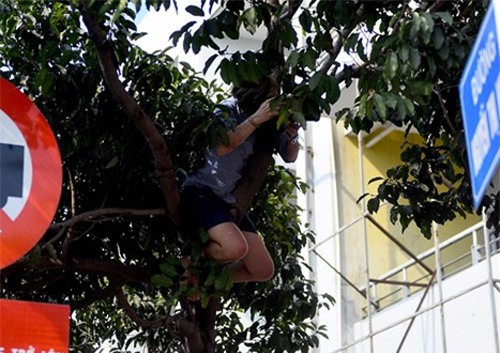 fan viet khoc loc, leo noc nha chup hinh t-ara - 5