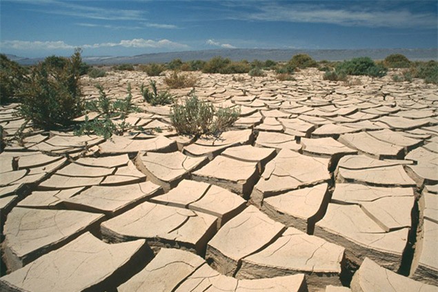 Sa mạc Atacama