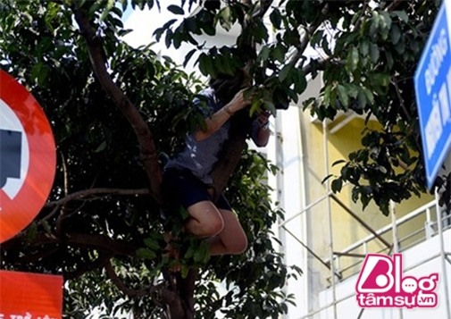 fan-cuong-sao-viet-blogtamsuvn033