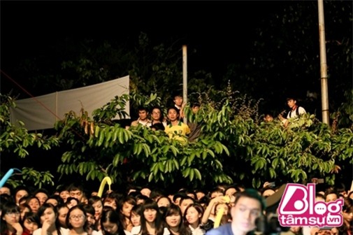 fan-cuong-sao-viet-blogtamsuvn031