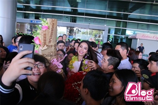 fan-cuong-sao-viet-blogtamsuvn029