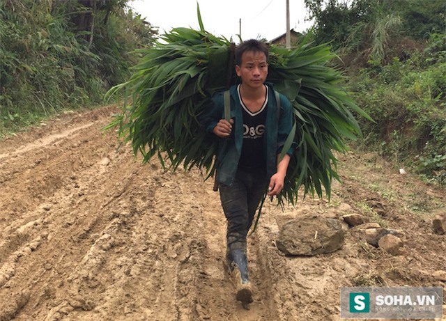 Không chỉ những người thầy, cô, cán bộ làm việc tại đây “sợ hãi”, mà các hộ dân sống 2 bên đường này cũng “ngán”. Bởi quanh năm suốt tháng họ luôn phải đối diện với con đường gớm ghiếc đầy bùn này.