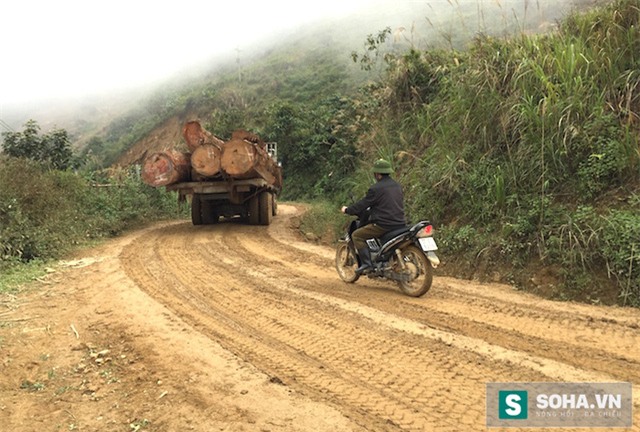 
Tuy nhiên, thời gian vừa qua, tuyến đường này đang bị những đoàn xe chở gỗ từ hướng cửa mở L10 biên giới Việt Lào đi về nội địa “hành hạ” khiến tuyến đường này “nát như tương”.
