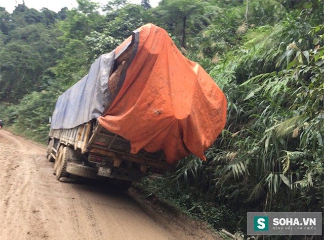 Mặc dù nền của tuyến đường này rất yếu, trọng tải cho phép thấp từ 10 đến 13 tấn, nhưng mỗi ngày đường phải chịu tải cho cả chục xe “siêu trường siêu trọng” vận chuyển gỗ từ Lào về Việt Nam.