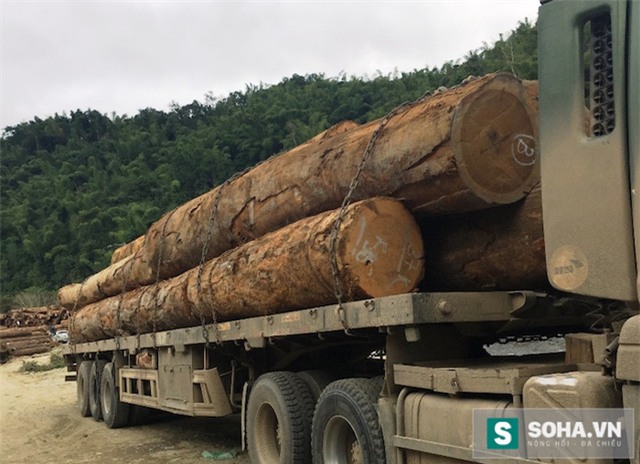 
Mặc dù cơ quan chức năng cấp phép cho các doanh nghiệp vận chuyển gỗ trên cung đường này. Thế nhưng không có nghĩa là các doanh nghiệp được quyền chở quá tải, phá hỏng đường đang xảy ra tại khu vực biên giới này.
